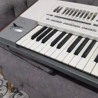 کرگpax2|پیانو، کیبورد، آکاردئون|اشنویه, |دیوار