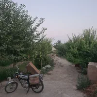 باغ 1200متری انتهای بلوارکشمیری مهرگان رسالت|فروش خانه و ویلا|مشهد, تبادکان|دیوار