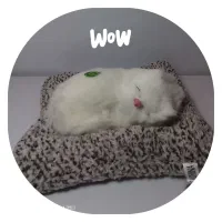 اسباب بازی های جذاب|اسباب‌‌بازی|شیراز, شهرک مدرس|دیوار