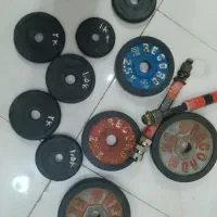 دمبل