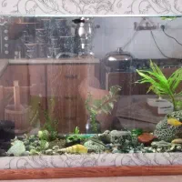 نور ۱متری آکوا فیلتر بزرگ واتربر آکواریوم ۱۲۰سانتی|ماهی|مشهد, کوشش|دیوار