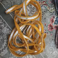 ریسه