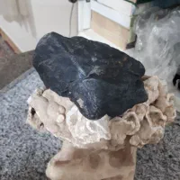 سنگ‌های کلکسیونی و سنگی که اهرنربا بهش میچسبد|کلکسیون اشیاء عتیقه|مشکان, |دیوار