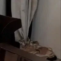 والان مخمل شانل|پرده، رانر، رومیزی|قم, حنیف نژاد|دیوار