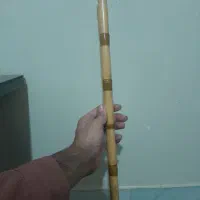 نی استاد درخشنده