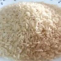برنج درجه یک کامفیروزی