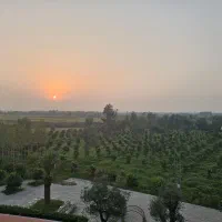 سرایدار و باغبان