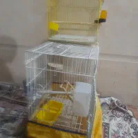 قفس|لوازم جانبی حیوانات|باوی, |دیوار