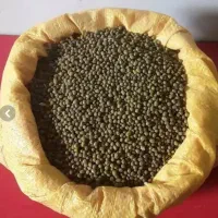 ماش