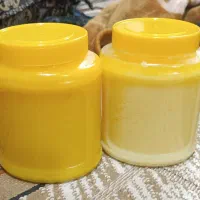 روغن حیوانی