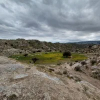 زمین کشاورزی1500متری سر‌جاده