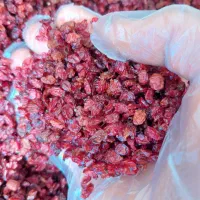 زرشک اناری عمده|خوردنی و آشامیدنی|اصفهان, نقش جهان|دیوار