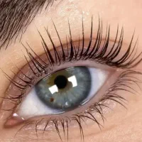 لیفت ابرو و مژه تخصصی و لیفت ابرو در منزل