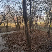اجاره آپارتمان ۱۰۰ متری ۲ خوابه طبقه ۲|اجارهٔ آپارتمان|طالقان, |دیوار