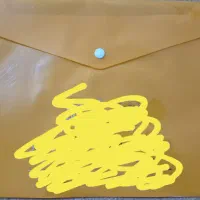 ۶۰ تا پوشه دکمه دار و ۲۵۰ تا پوشه کاغذی