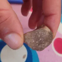 سنگ‌های قیمتی|کلکسیون اشیاء عتیقه|شیراز, حومه شیراز|دیوار