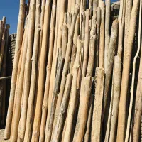 خریدار چوب درخت،تیر سقفی،پالت،ریشه،فروش زغال کبابی|خدمات باغبانی و درختکاری|هشتگرد, |دیوار