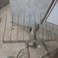 ۴شاخ