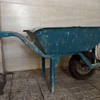 فرغون ورق ضخیم
