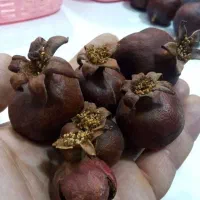 انار طبیعی خشک تزئینی|صنایع دستی و سایر لوازم تزئینی|مشهد, رده|دیوار