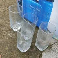 ۸۰ عدد لیوان دسته دوم|ظروف سرو و پذیرایی|رشت, منظریه|دیوار