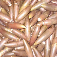 بلوط|عمده‌فروشی|شاهیوند, |دیوار