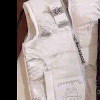 پافر فضانورد