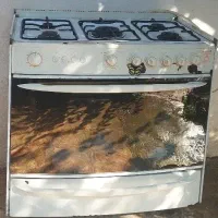 اجاق گاز فردار تکنو