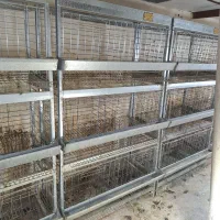 قفس مرغ تخمگذار|لوازم جانبی حیوانات|زواره, |دیوار