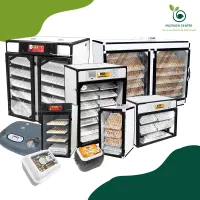 فروش دستگاه های جوجه کشی اسکندری (نمایندگی)