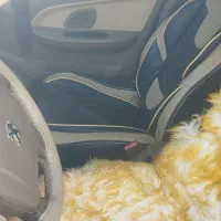 پژو پارس ساده، مدل ۱۳۹۱|خودرو سواری و وانت|چابهار, |دیوار