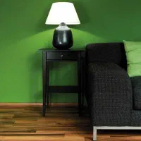 همخانه همخونه فقط خانم