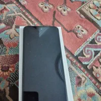 شیامی