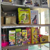 هرچی که برای حیون خونگیت بخوای تو فروشگاه ما هست|لوازم جانبی حیوانات|شیراز, شهرک گلستان|دیوار