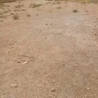 زمین به مساحت ۲۵۰ متر