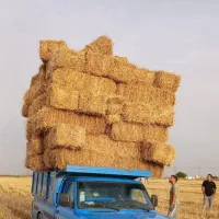 کیلوی 7 هزار