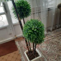 ۴ تامتکا ویک عدد گل وگلدان ،|گل مصنوعی|اندیمشک, |دیوار