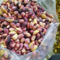 پسته تازه کیلو ۱۳۰۰