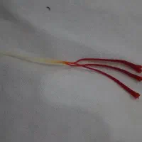 پوشال قلمدار