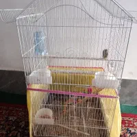قفس با تمام وسایل