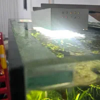 آکواریوم ۱۰۰ × ۴۰ × ۵۰|ماهی|مشهد, بهاران|دیوار