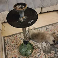 قلیون عربی مارک اینزو