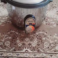 پلوپز برقی