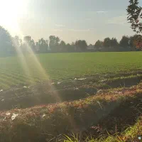 15هزار-متر-زمین-سند-تک-برگ-بر-خیابان-ریحان-آباد