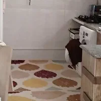 دوعدد فرش ابریشم ۳متری