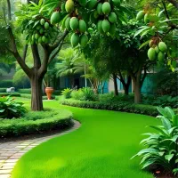 جاده سارمساقلواب/برق/گاز/اب ۵ اینچ معاوضه باماشین