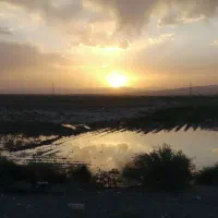 وکیل کاربلد و خبره