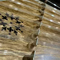 سنتور نو و طرح دار