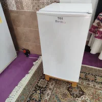 یخچال هتلی بردنا