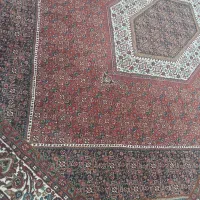 ۳ عدد فرش|فرش|زنجان, |دیوار